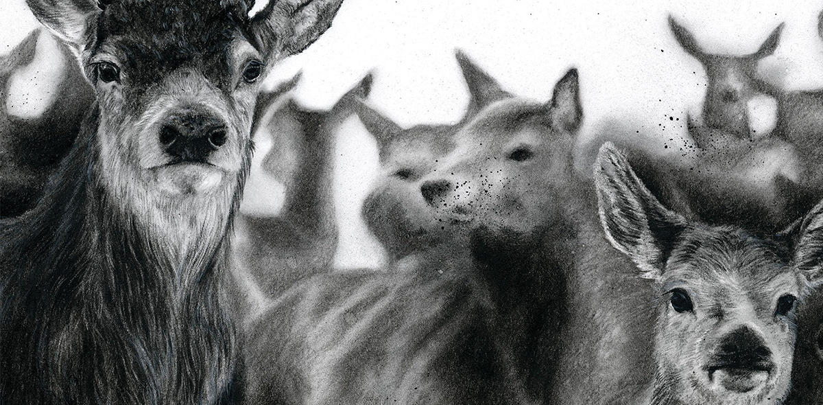 help-and-resources-header