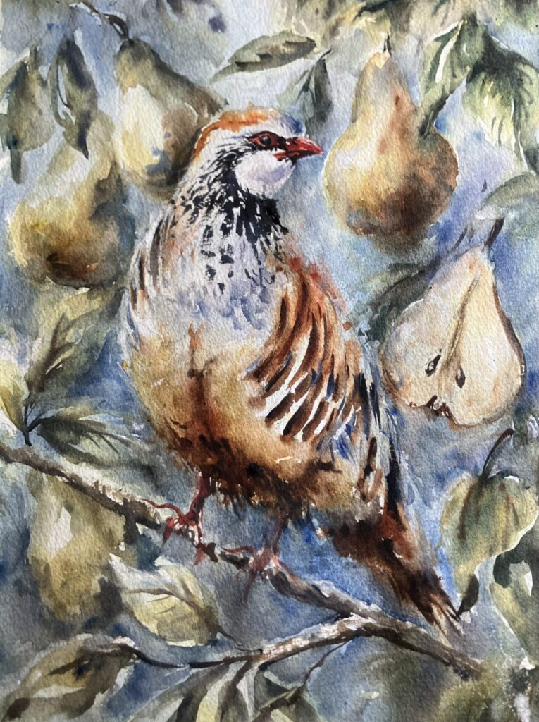 WATERCOLOUR PAINTING WORKSHOP- Partridge in a pear tree